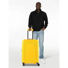American Tourister Dashpop 4-Rollen M 67 cm / 76 l golden yellow