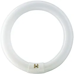 MASTER TL-E Circular -  Fluorescent lamp -  Energieverbrauch: 32.8 W -  Energiee TL-E 32W/840 1CT/12