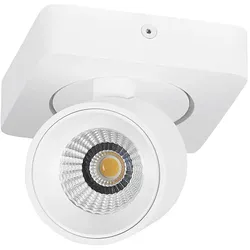 Spot Landau 1flg.wss 6W 540lm