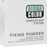 Kryolan GmbH Dermacolor Camouflage Fixierpuder large P1