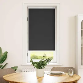 vidaXL Verdunklungsrollo 60 x 120 cm schwarz
