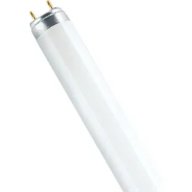 Osram Lumilux T8 L 36W/830 G13