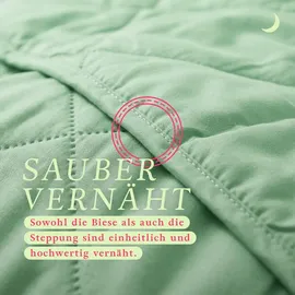 BestLivings Bettdecke Mint, leichtes Steppbett, Mikrofaser, atmungsaktiv, ohne Bettbezug nutzbar Wärmeklasse 2, auch ideal für Reisen, Camping - Grün