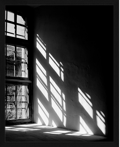 ANY IMAGE Digitaldruck »Sonnenlicht«, Rahmen: Buchenholz, Schwarz