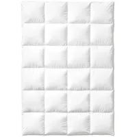 Kauffmann Superior Daunendecke extra-warm - 200x200cm