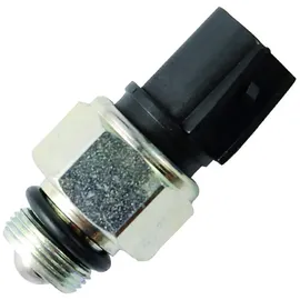 FAE 40596
