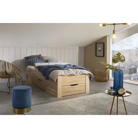 Rauch Stauraumbett Aditio, ohne Kopfteil, inklusive Schubkästen beige 96 cm x 208 cm x 50 cm