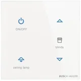 Busch-Jaeger Bedienelement TB/U4-CG