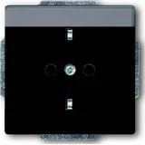 Busch-Jaeger Steckdoseneinsatz 20 EUN-81 Anthrazit 1 St.