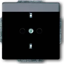 Busch-Jaeger Steckdoseneinsatz 20 EUN-81 Anthrazit 1 St.