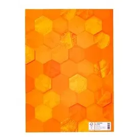 Herma Heftumschlag X orange Karton DIN A4, 1 St.