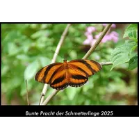 Vero Kalender Bunte Pracht der Schmetterlinge 2025 Fotokalender DIN