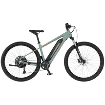 Fischer Montis 2.2 Active 29 Zoll RH 49 piniengrün matt