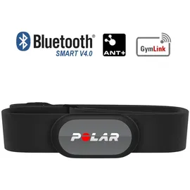 Polar H9