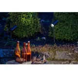 Brumberg LED-Erdspießstrahler 60113183