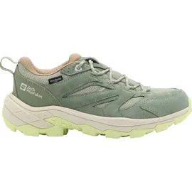 Jack Wolfskin Vojo Tour Texapore Low W - 42