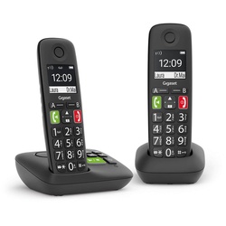 E290A Duo Analoges/DECT-Telefon