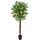 Europalms Zitronenbaum, Kunstpflanze, 150cm
