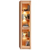 Z2 Regal schmal NATURE ONE - B/H/T ca. 43.00x203.00x40.00