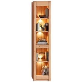 Z2 Regal schmal NATURE ONE - B/H/T ca. 43.00x203.00x40.00