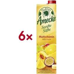 OTTO Office 6er-Pack Fruchtsaft »Sanfte Säfte Multivitamin« 1 Liter