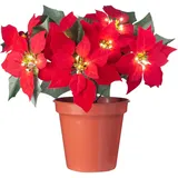 WeRChristmas Blumentopf, Weihnachtsstern, beleuchtet, Mehrfarbig, 45 cm