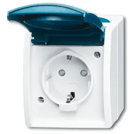 Busch-Jaeger CEE 7/3 Blau/Weiß 1 St.