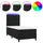 vidaXL Boxspringbett 100 x 200 cm Schwarz