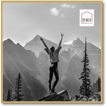 HAES DECO Haes Kunststoffrahmen EF18G Easy Frame 50x50cm gold