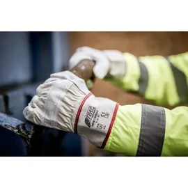 AS Arbeitsschutz GmbH NITRAS APOLLO, Rindvolllederhandschuhe, naturfarben / grau 10