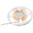 Eurolite LED Strip 1320 5m Warmweiss
