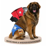 NATURE PET Premium Läufigkeitshose für Hündinnen – Hochwertige & Bequeme Hundewindeln für Hündinnen & Rüden – Waschbare Inkontinenz-Hundewindel ohne Einfädeln der Rute – XL/Blau