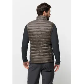 Jack Wolfskin Routeburn Pro Ins Vest M cold coffee