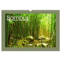 Calvendo Bambus (Wandkalender 2026 DIN A3 quer), CALVENDO Monatskalender:
