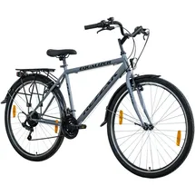 Rezzak 28 Zoll RH 48 cm Herren grau