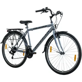 Rezzak 28 Zoll RH 48 cm Herren grau