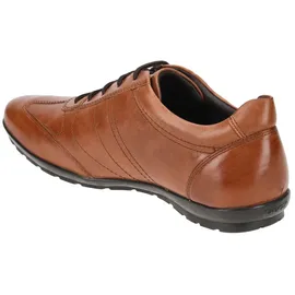 GEOX Symbol Herren Braun 40