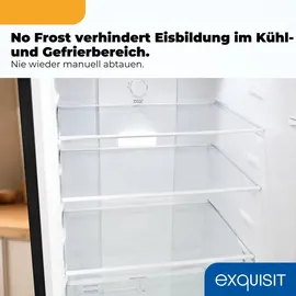 Exquisit KGC265-70-NF-WS-040C Kühl-Gefrierkombination (251 l, 1805 mm hoch, Inoxlook-az)