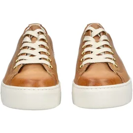 Paul Green Sneaker in braun 42