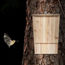 Relaxdays Fledermauskasten, großer Unterschlupf für Fledermäuse, aus unbehandeltem Holz, HxBxT: 34 x 22,5 x 13 cm, natur