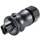 Wieland Electric 96.032.0153.1 Rundstecker Stecker, gerade Gesamtpolzahl: 3 1St.