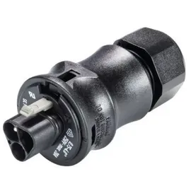 Wieland Electric 96.032.0153.1 Rundstecker Stecker, gerade Gesamtpolzahl: 3 1St.