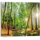 Reinders! Bild Spring Woods, - bunt