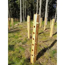 Stabilisierungsholz für Holz-Wuchshülle Dendron