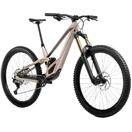 Orbea Rallon E10 2026 29 Zoll RH 0 cm Nickel Matt/Nickel Chrome Gloss