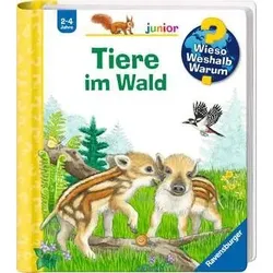 Wieso? Weshalb? Warum? junior, Band 77: Tiere im Wald
