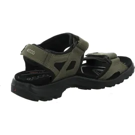 ECCO Offroad Herren Khaki/Schwarz 47