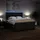 vidaXL Boxspringbett 180 x 200 cm Schwarz