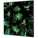 Showdown Displays Showdown Wanddekoration Set 40x40cm Kaktus gn