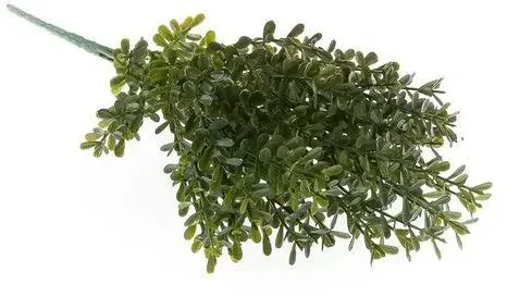 Buchs Busch 35cm x6 dunkelgrün